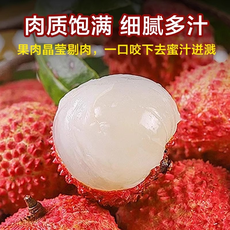 碧越广东白糖罂荔枝新鲜现摘现发老树核小肉厚爆浆水果兔优达配送