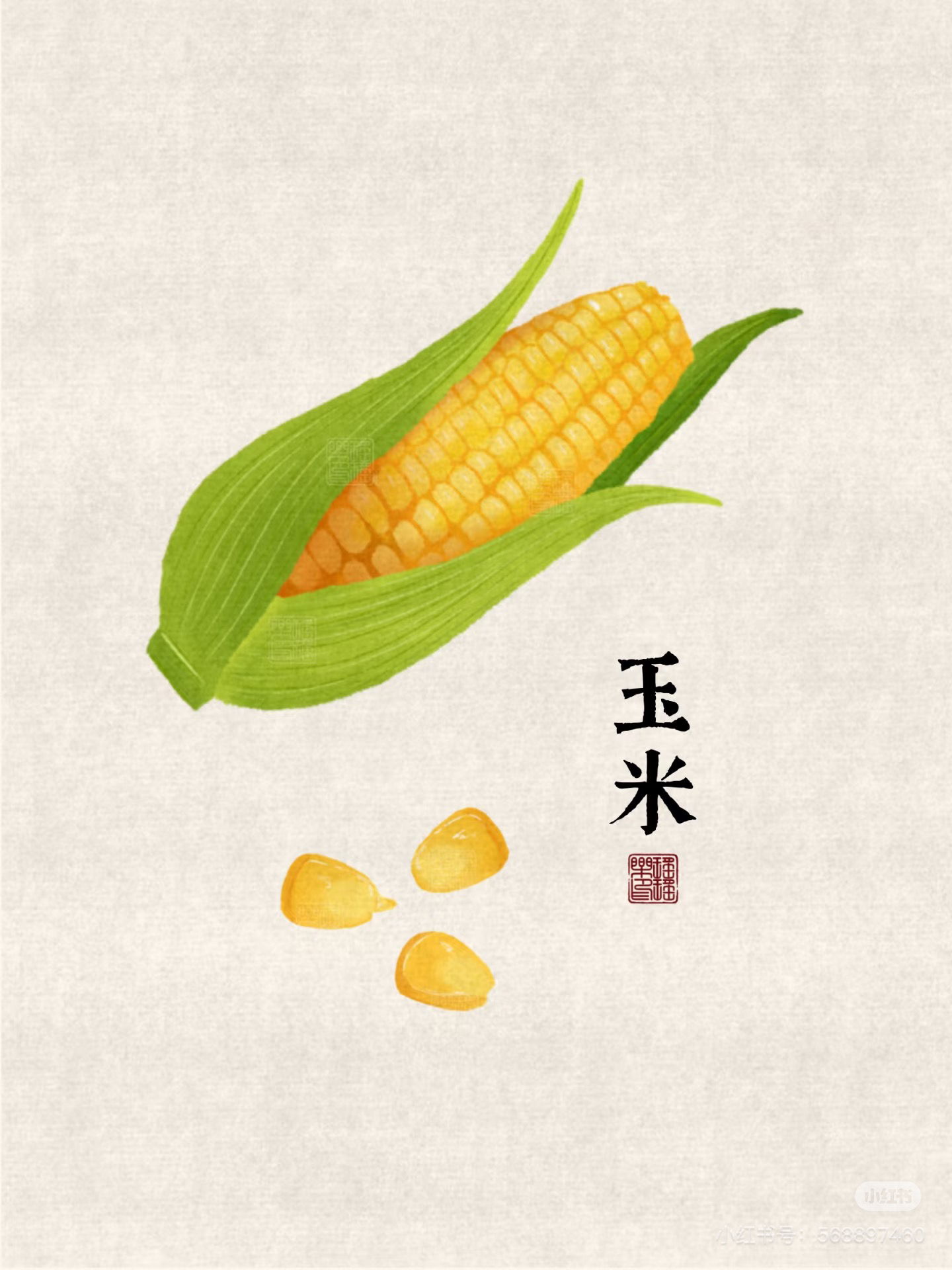 文玩玉米，直播间一物一拍，请勿直接下单！图片仅供参考8