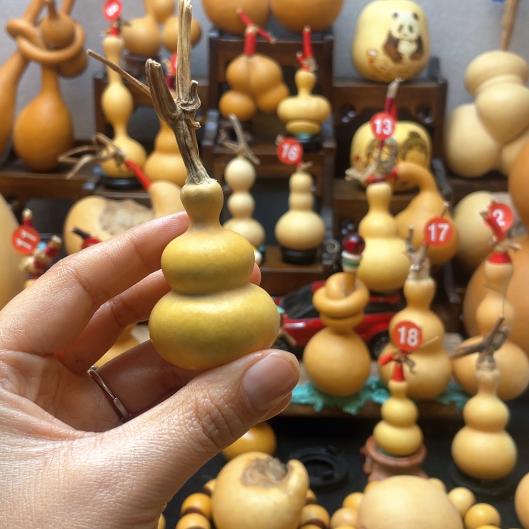 东*大自然的秘密第十一节我是你