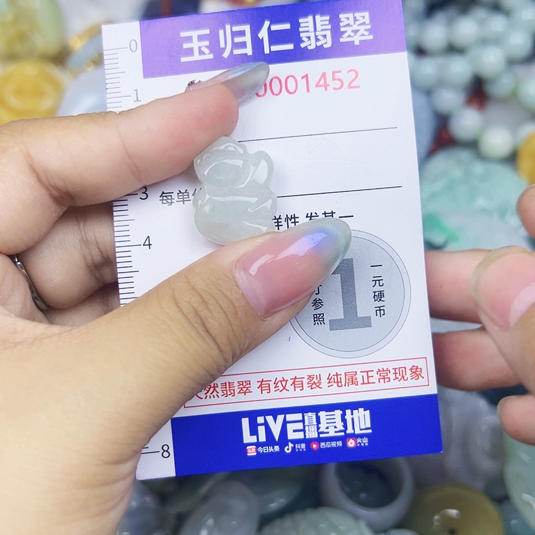 翡翠未镶嵌颈饰1111