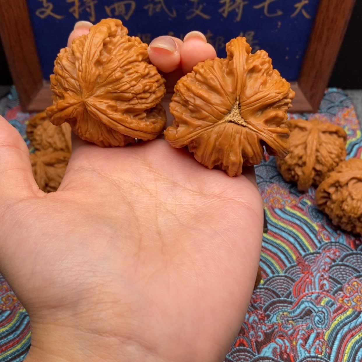 【闪购商品】郭**导白狮