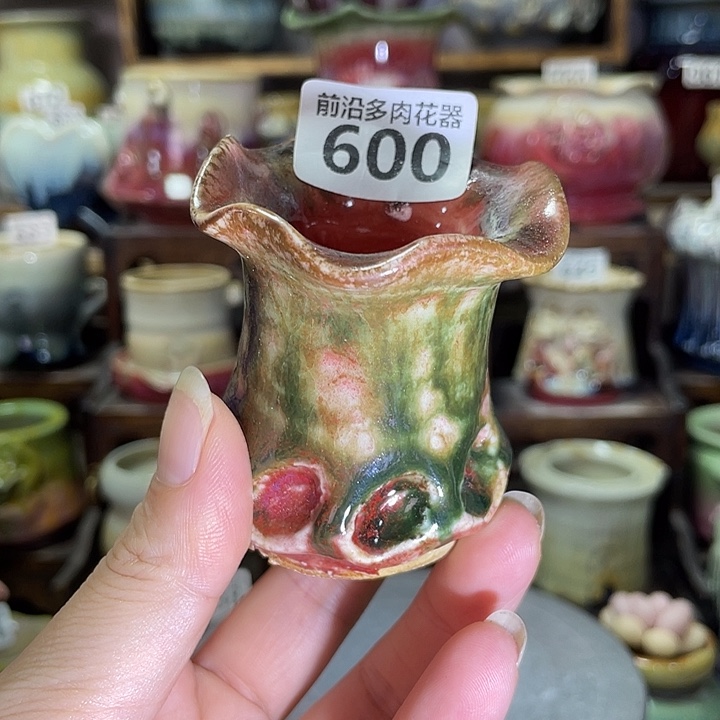 狼盆内口径3高度6