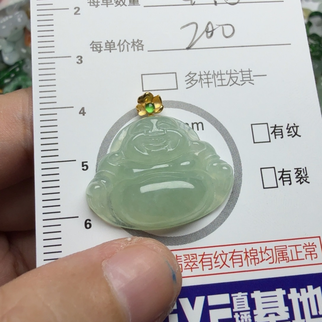 梦***来翡翠未镶嵌颈饰47