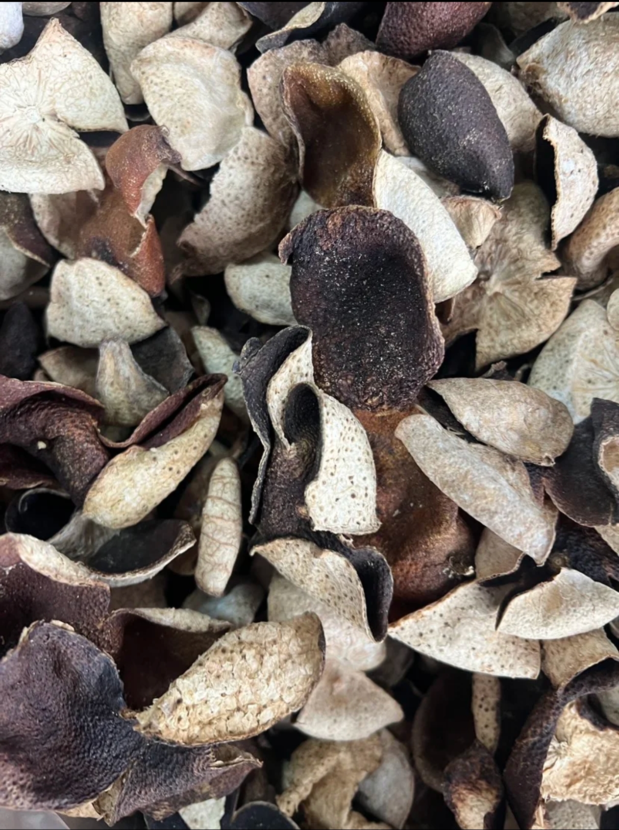 新农人青青-陈皮