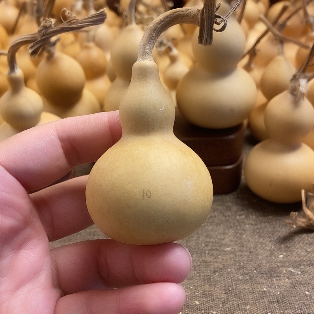 文玩葫芦 完美主义者 慎拍10