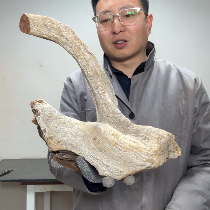 华***o香榧木18832259591