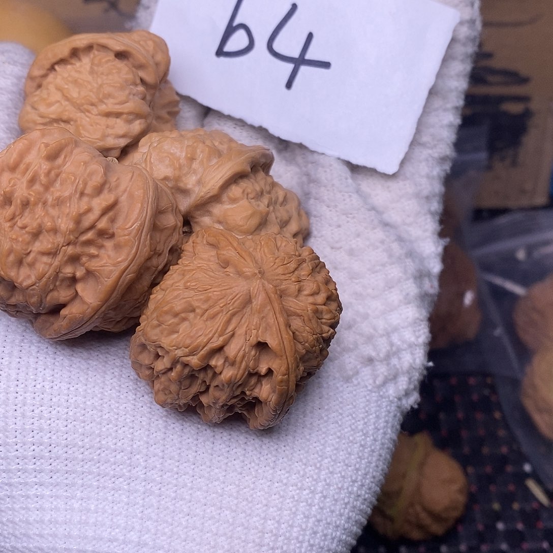 桃核把件R**y蛤蟆头核桃