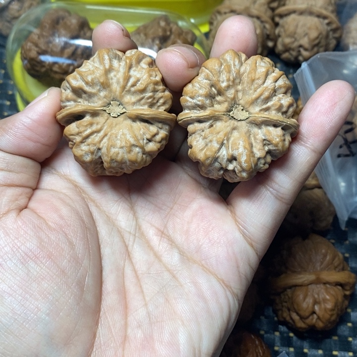 O***x把件文玩核桃蛤蟆40