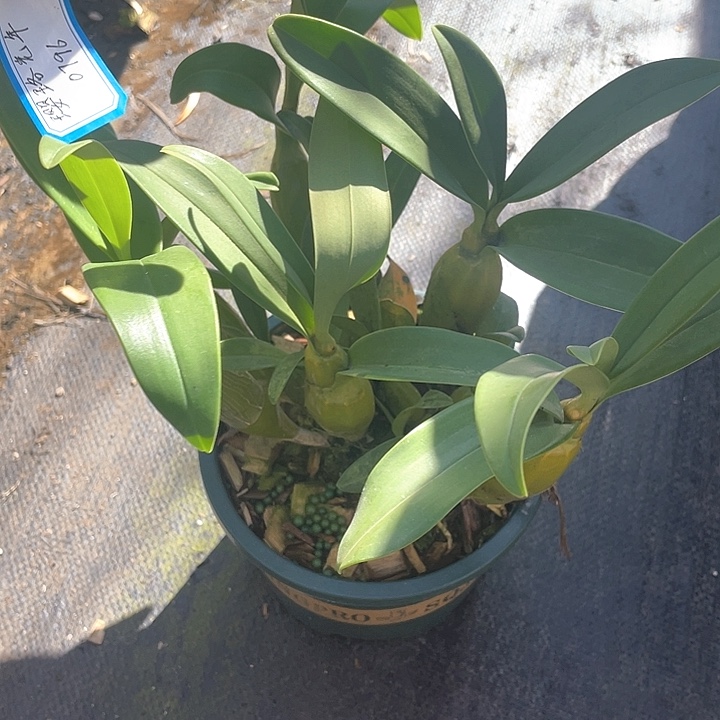 完全开放无需担心