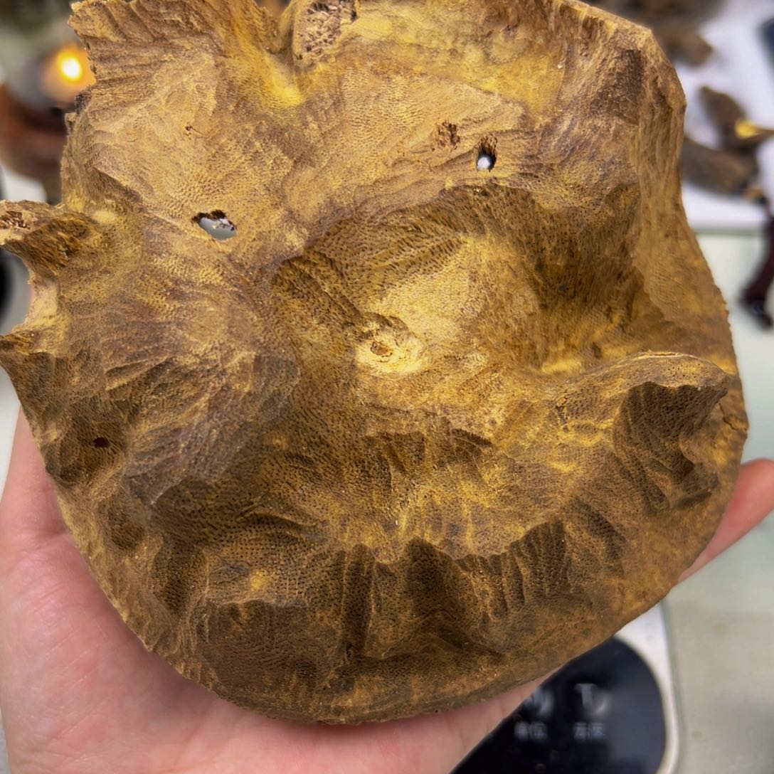 沉香沉香碎屑海南棋楠原母树天然结香包头62克