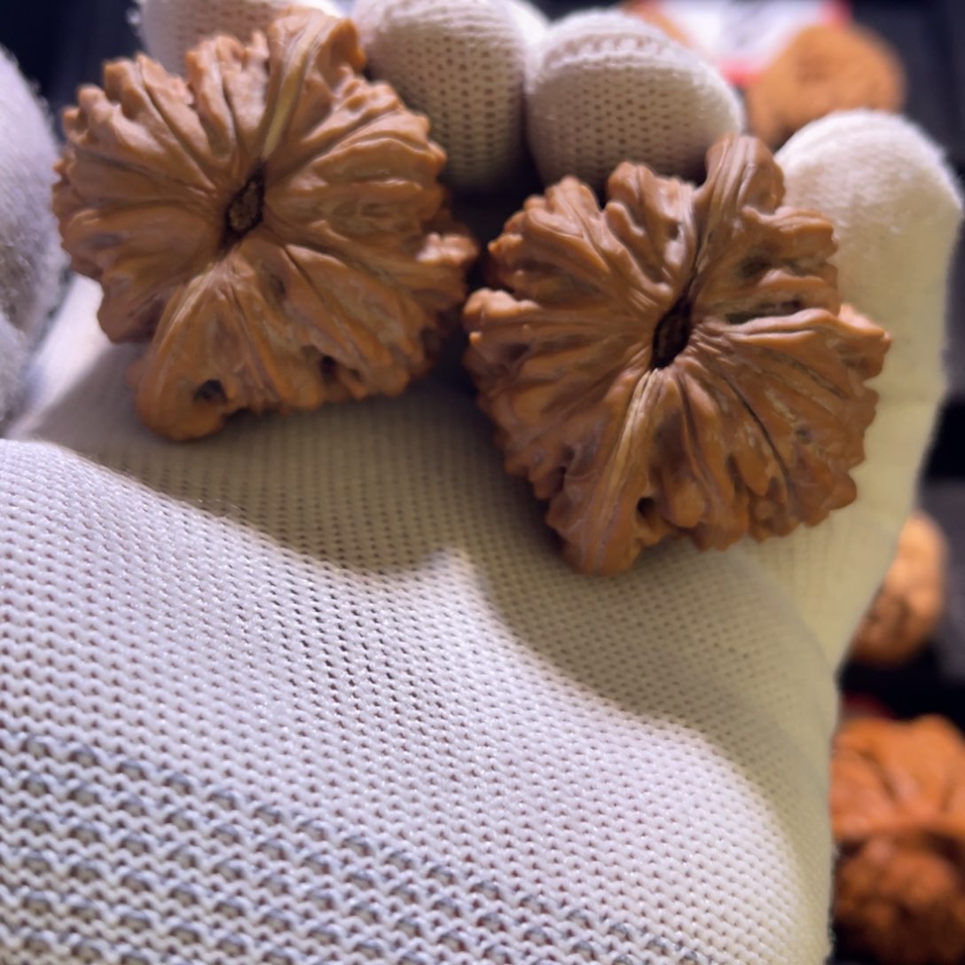 菩****丶秦皇岛山地果全品—-29