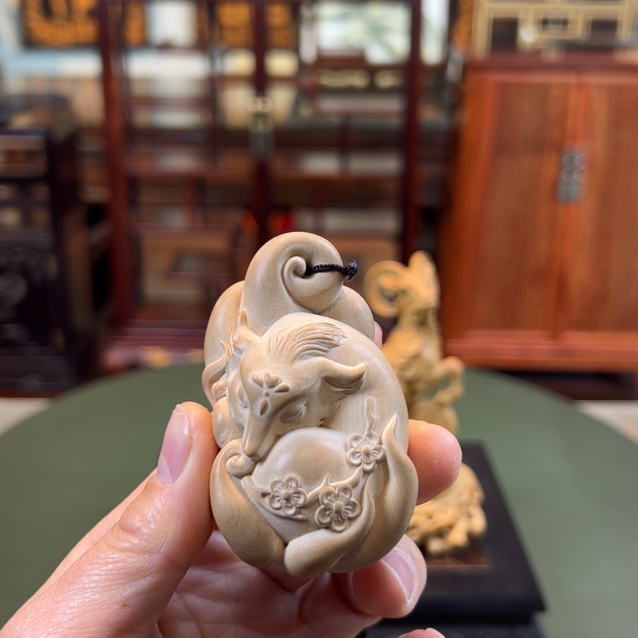 【闪购商品】黄杨木其他黄杨木