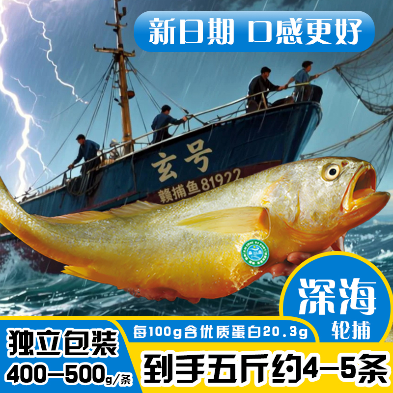 【深海】鲜嫩轮捕正宗大号黄花鱼400-500g每条 连云港发货 冷冻海鲜