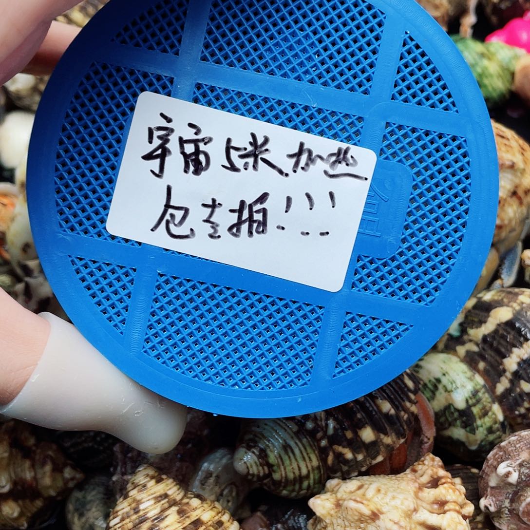 宇宙加热专拍 快冲哦