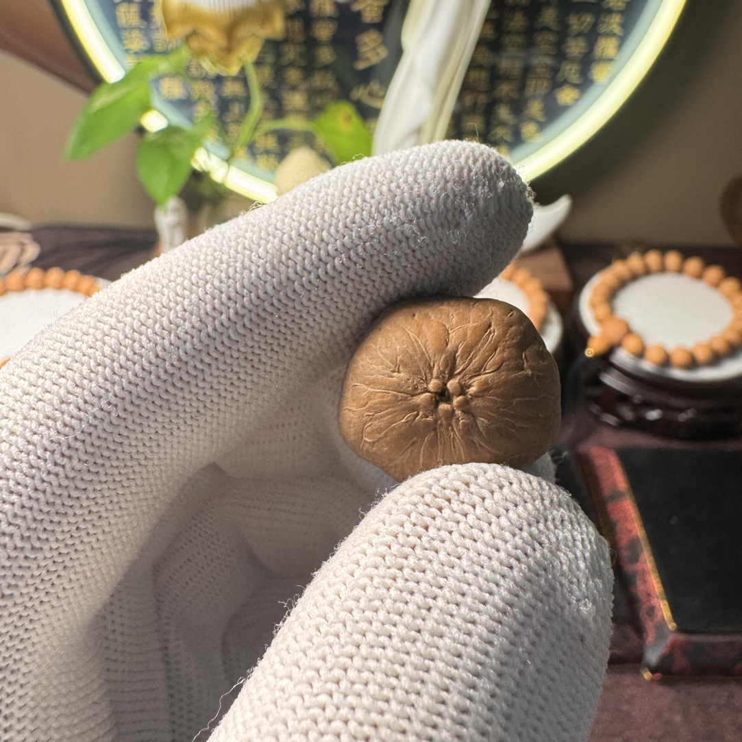 尼泊尔22mm镶嵌五星文玩好物