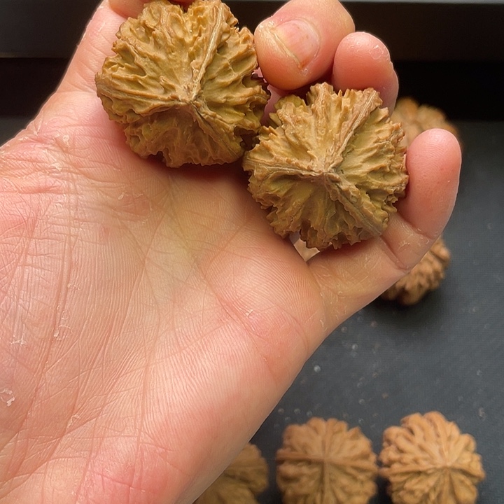 把件文玩核桃文玩城的小伙伴们都