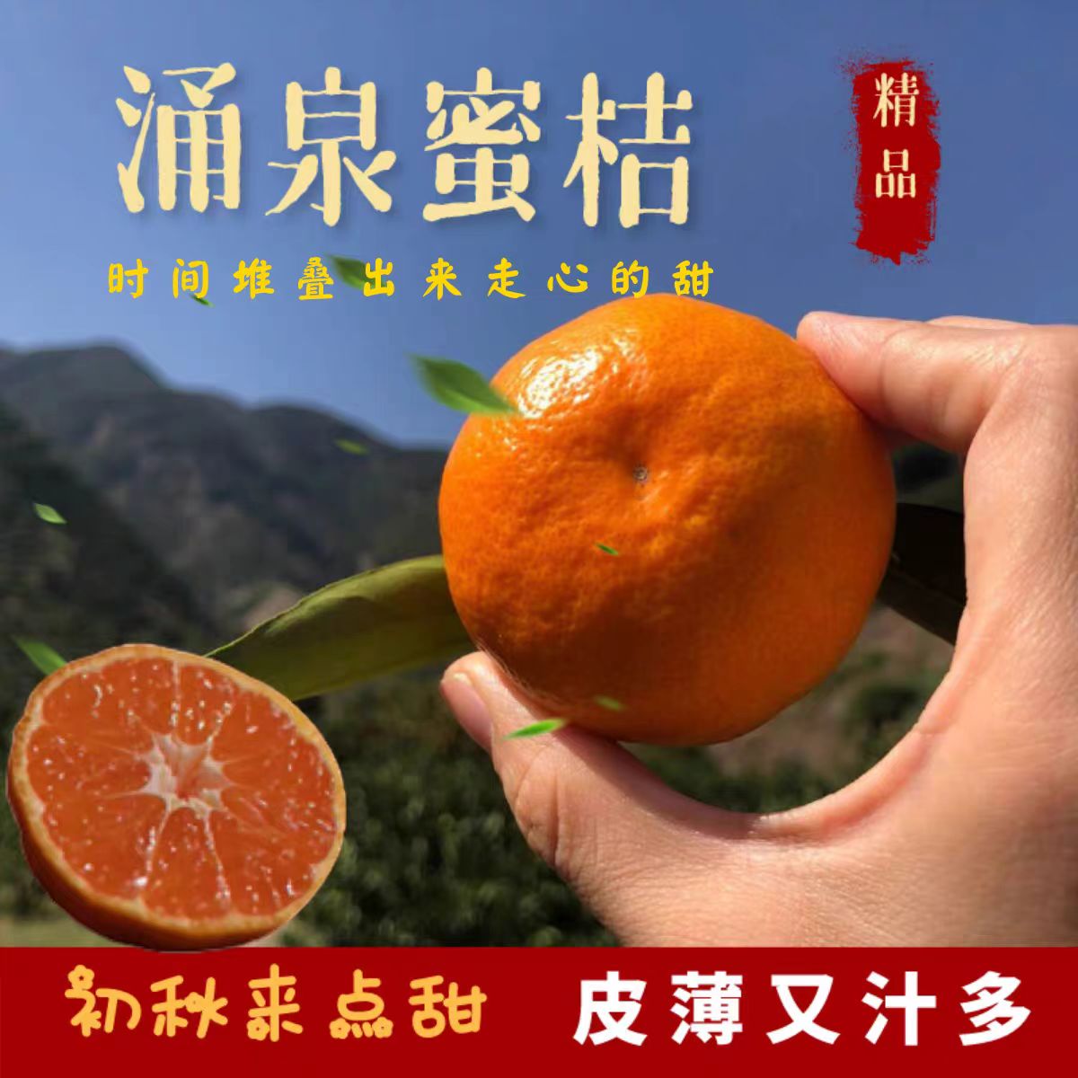 正宗临海涌泉蜜桔现摘现发老人孕妇无核无籽应季水果