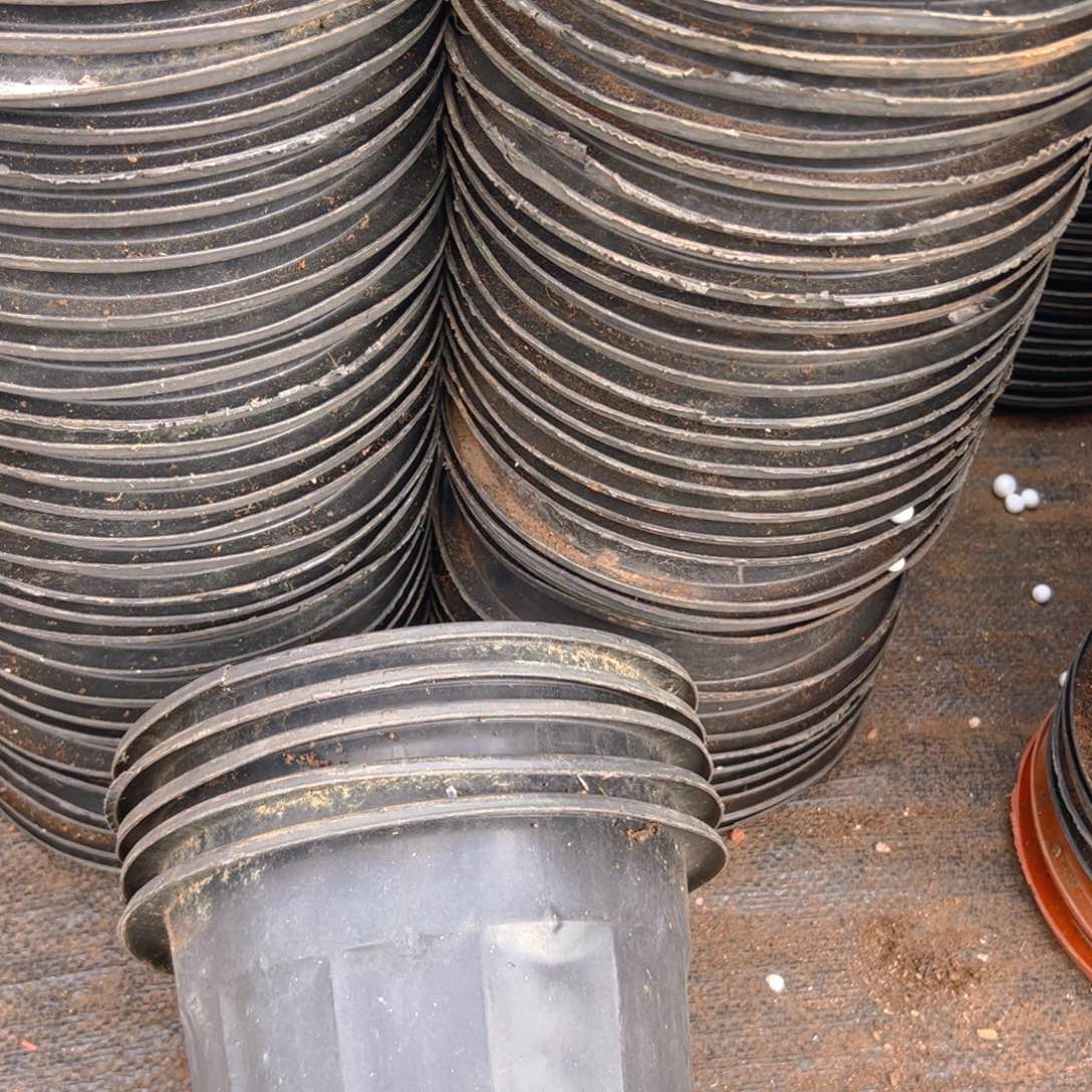 塑料黑砖盆19外口径15.5高 10个