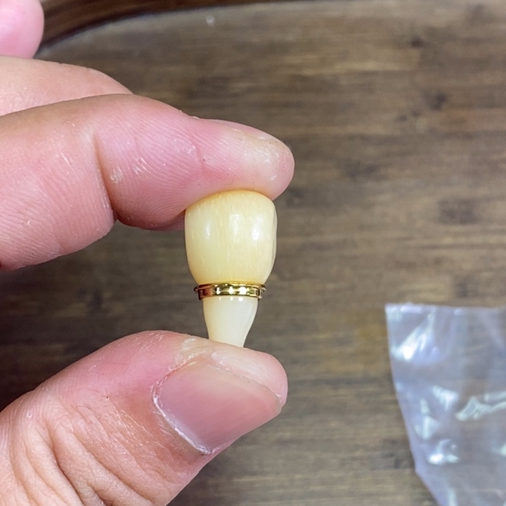 驼骨手串/手链篇号47卡1.0