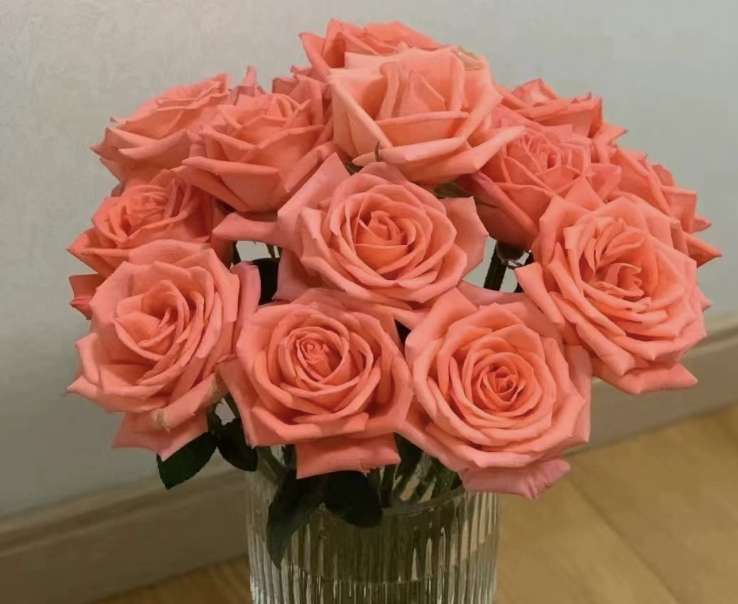 影星玫10支+百合4朵+向日葵2支+腊梅1束+尤加利5支