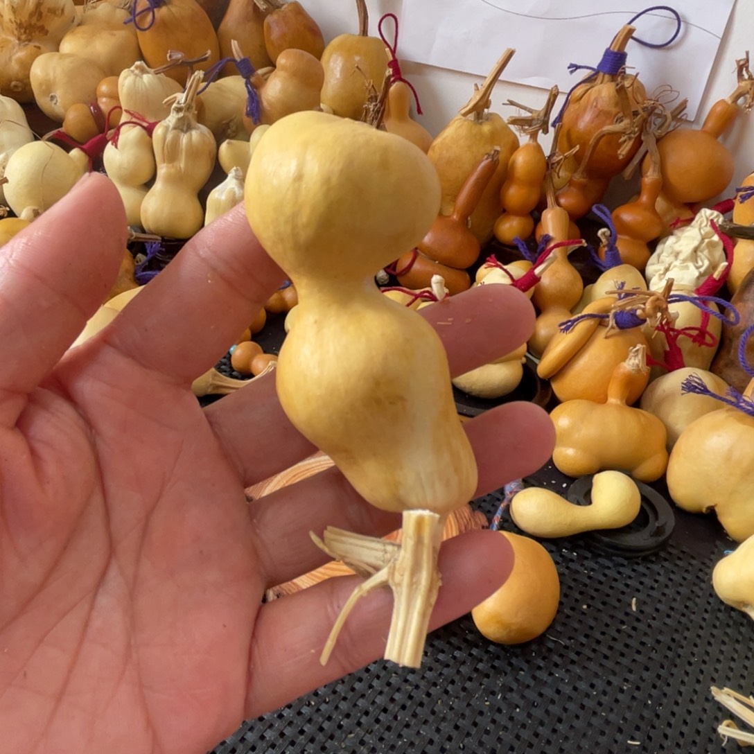 知***乐葫芦哈哈哈哈哈哈哈哈