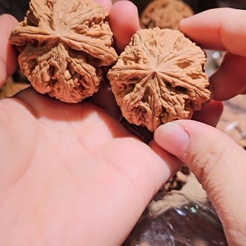 吊坠文玩核桃44.5粗筋