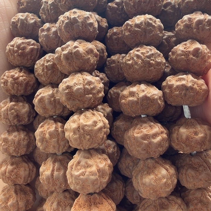 金刚菩提吊坠奶龙10.5-11+