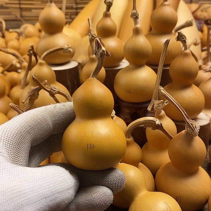 文玩葫芦 完美主义者 慎拍110