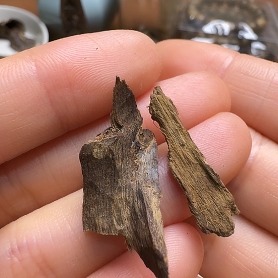 静水达拉干沉水1.1克