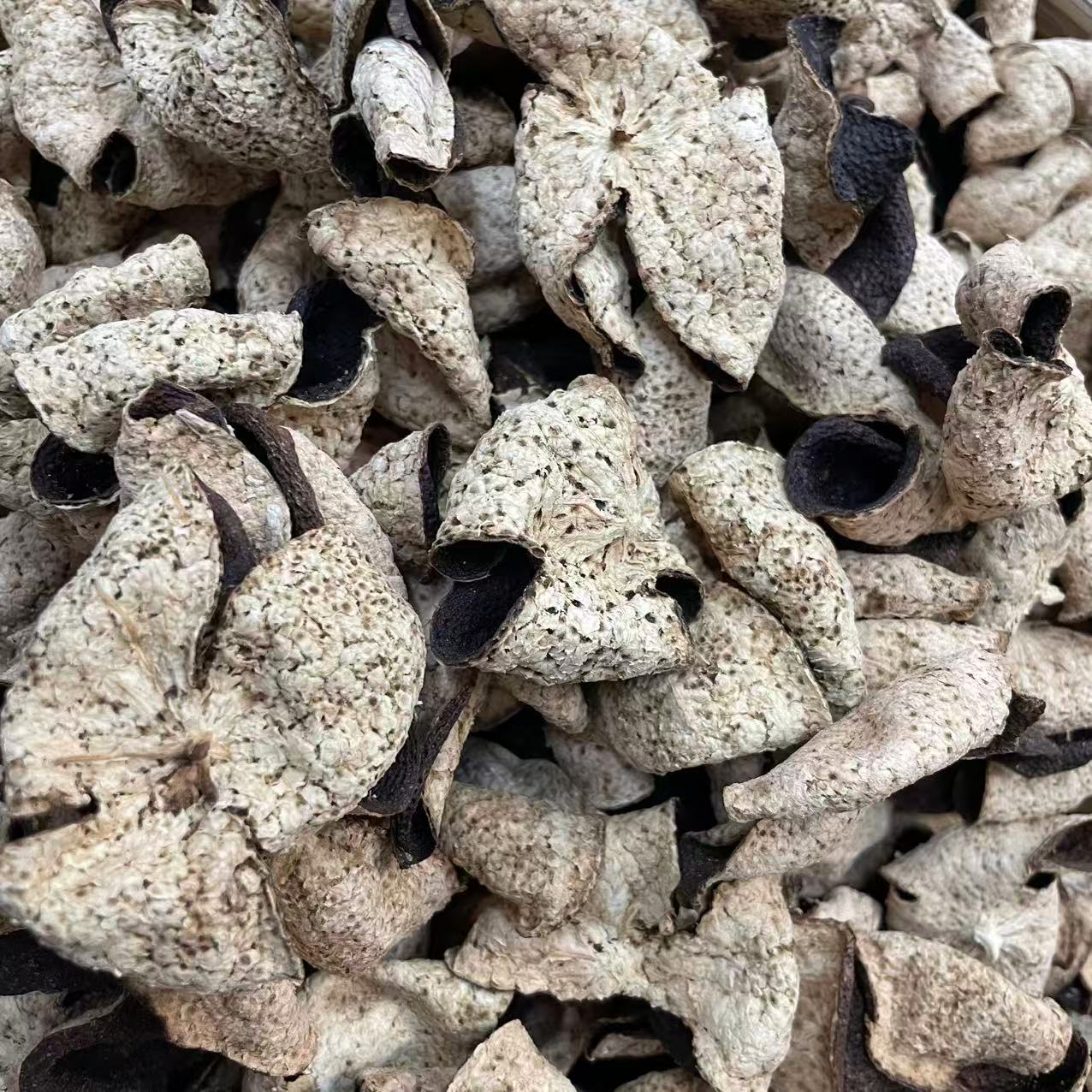 【顺总福利】西甲陈屋围2019老树折花皮 糯香 陈香 新会发货