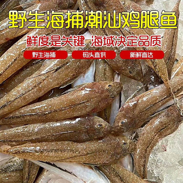 神泉本港鸡腿鱼400克5包