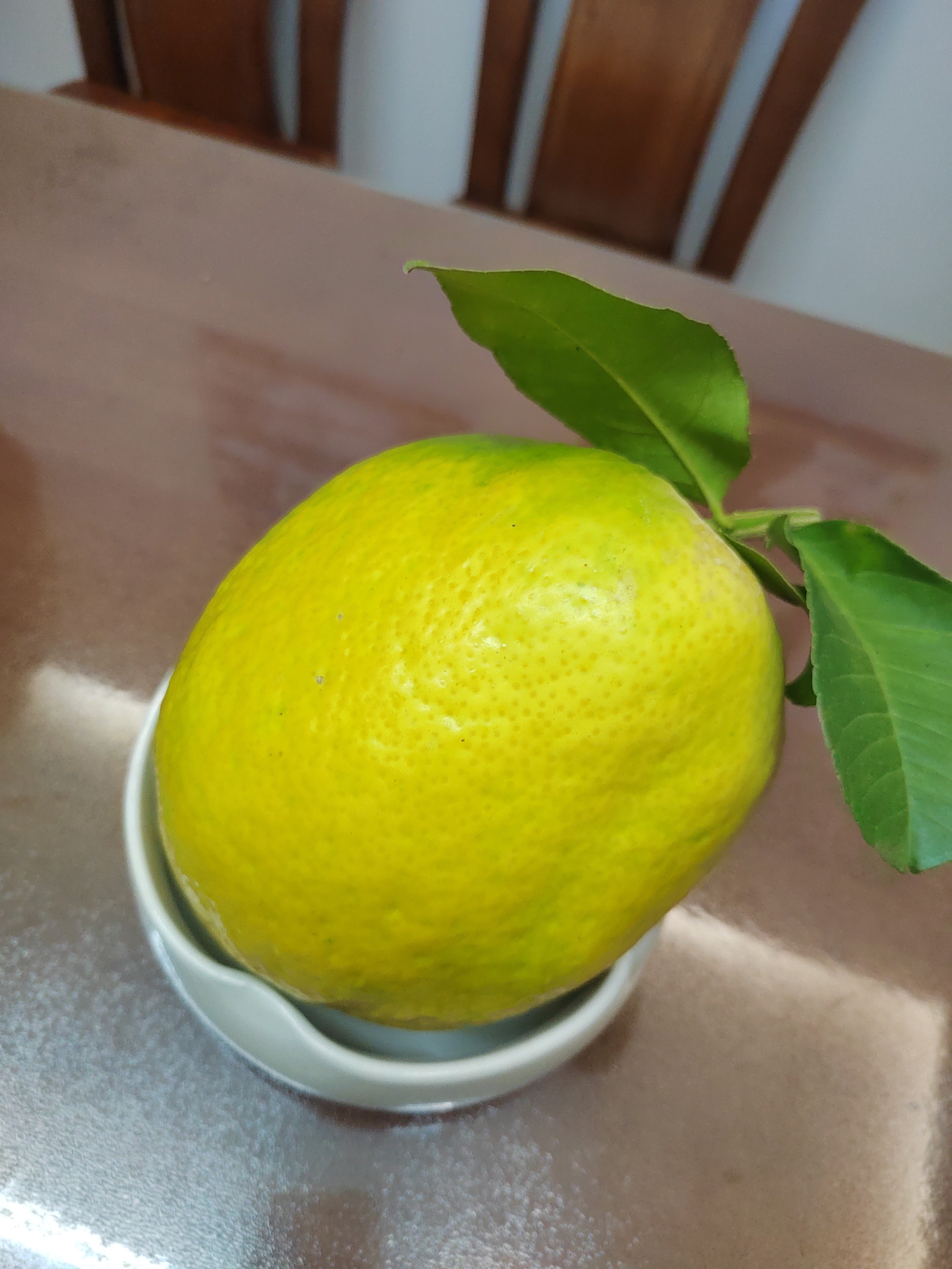 云南香橼果闻香摆件食用