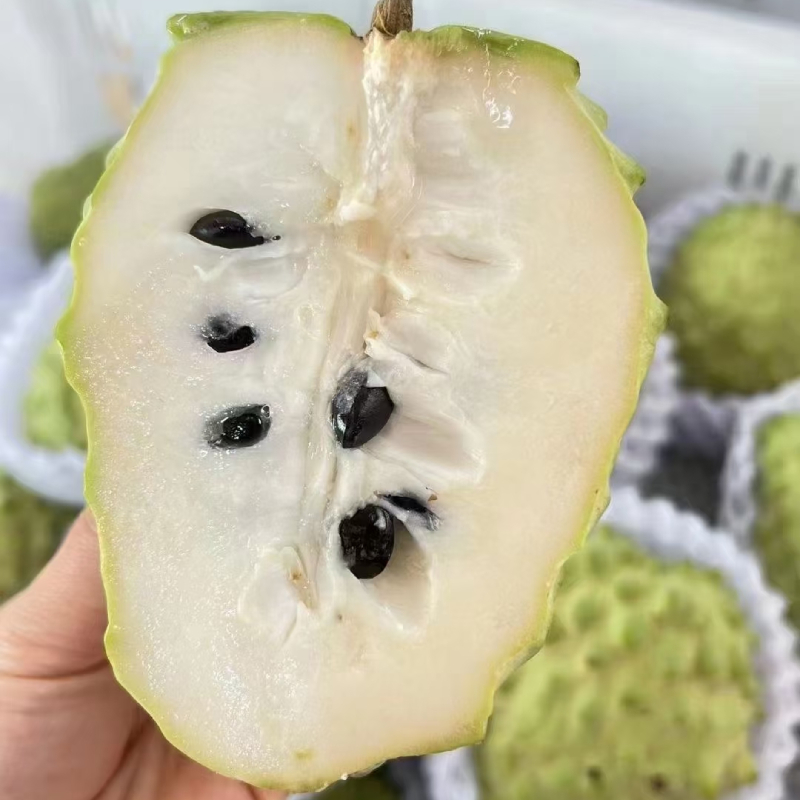 广西新鲜牛奶凤梨释迦果热带番荔枝佛头水果纯甜嫩滑现摘现发包邮