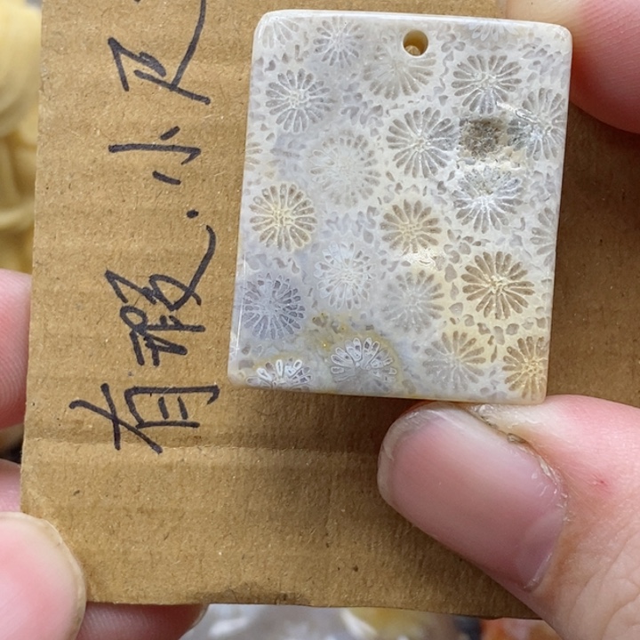 颈饰未镶嵌硅化珊瑚（珊瑚玉）