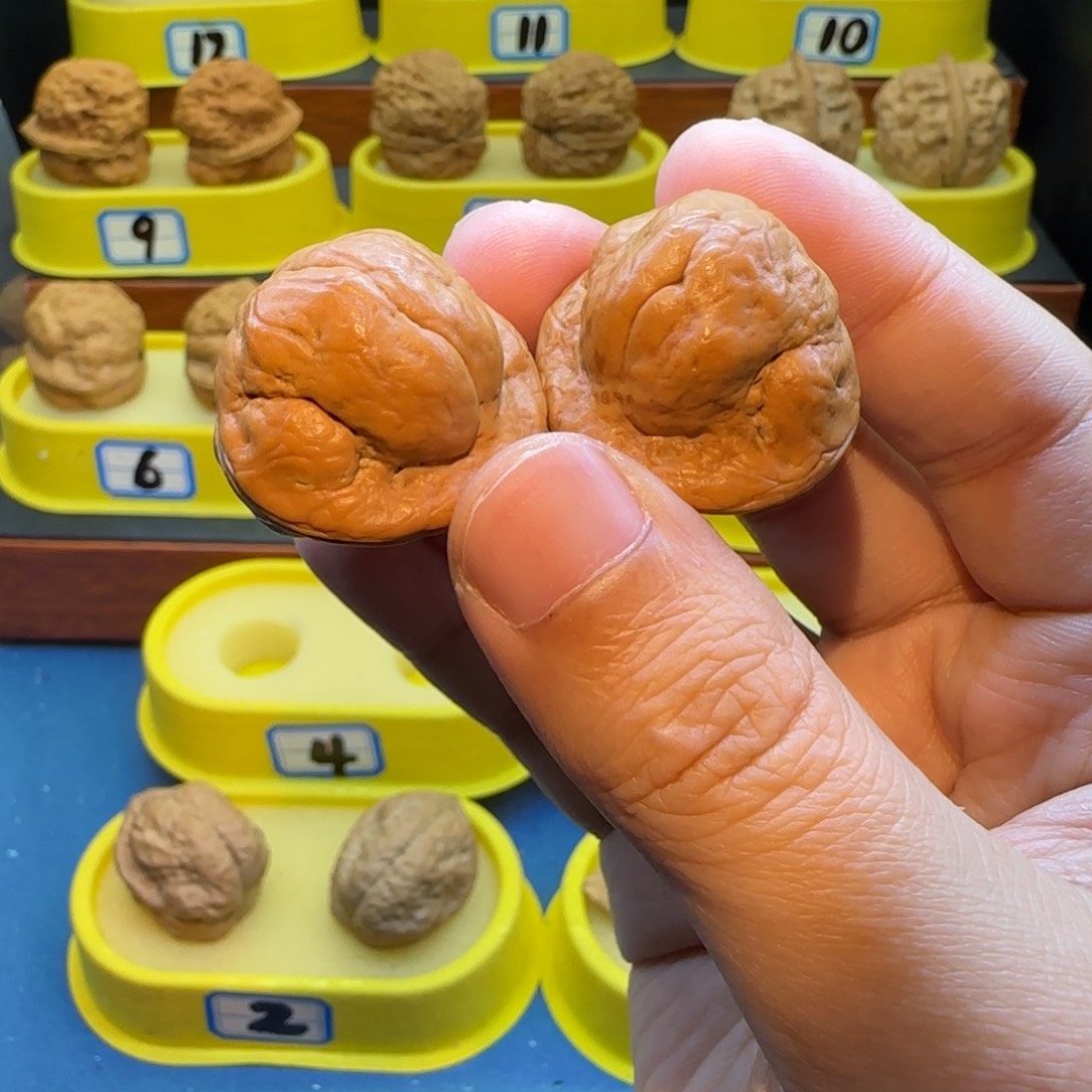 开***心把件桃核金刚鹦蟾