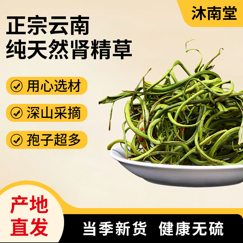 云南山货化石草肾精茶散装