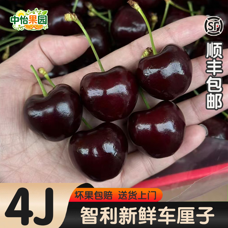 智利车厘子顺丰冷链包邮现货现摘3J4J樱桃内附果径卡海运进口水果