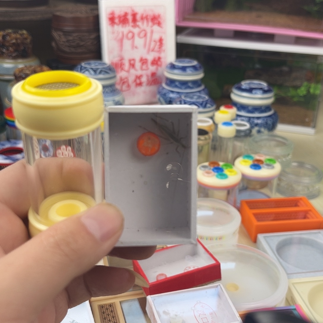 ᴹ***一个小黄桶一条紫竹蛉