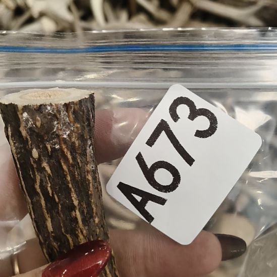 不***下鹿角鹿角鹿角鹿角鹿角