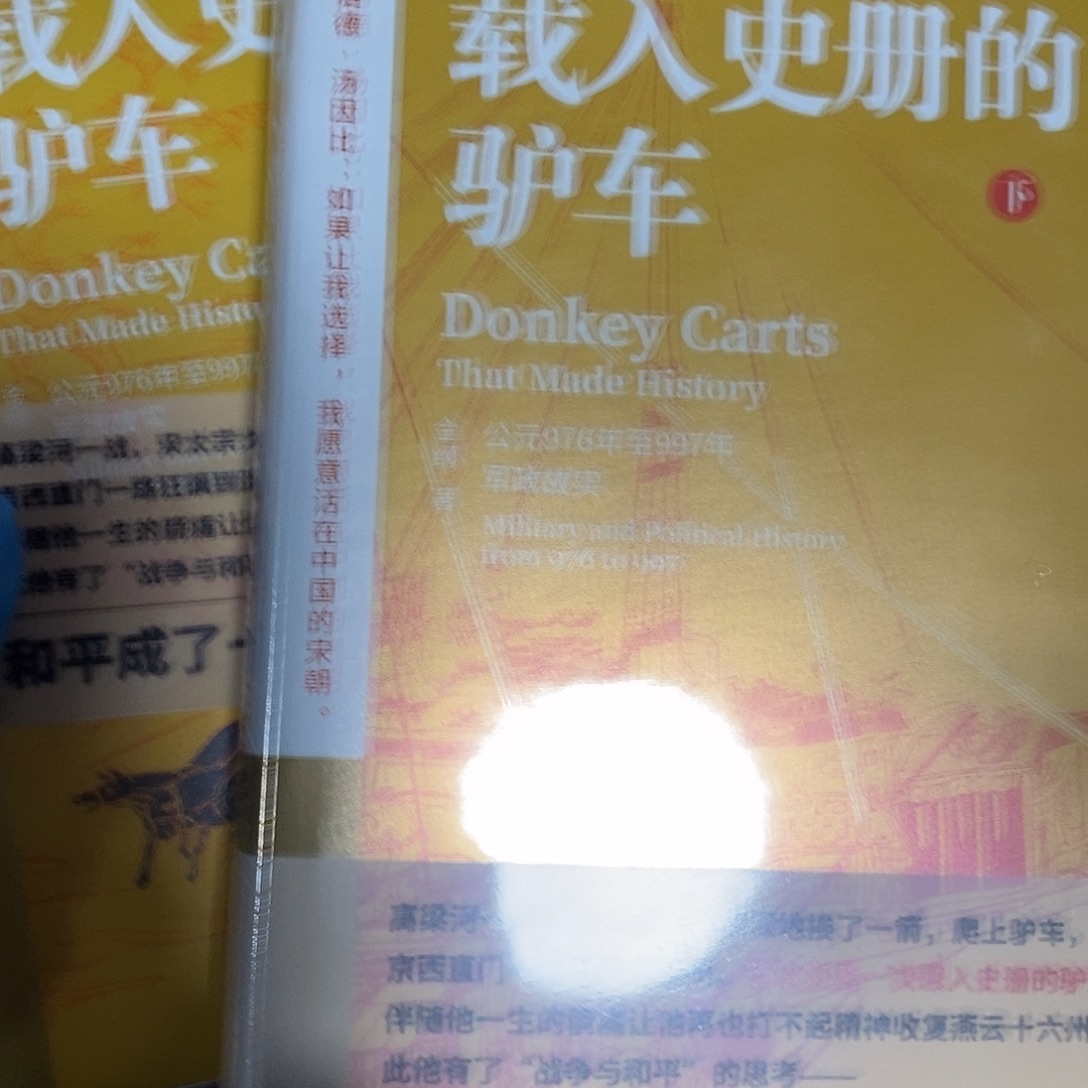 载入史册的驴车   