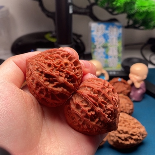 B***a核桃手串/手链秦岭