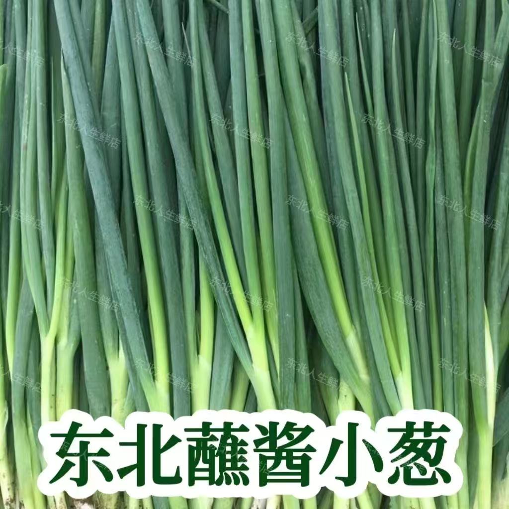 东北小葱蘸酱菜小香葱现采现发京东包邮