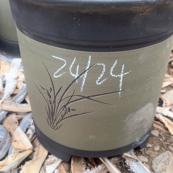 紫砂兰花盆高24kou 24