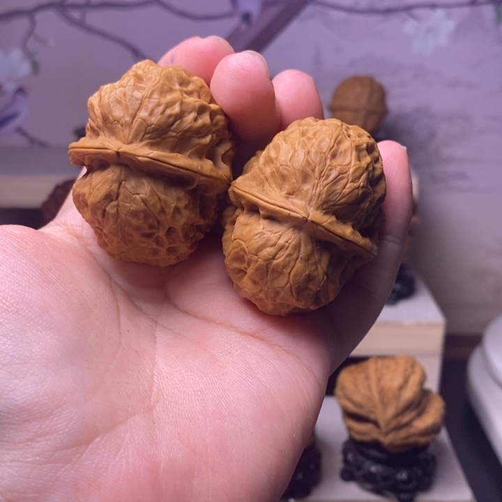 桃核把件玄武金蟾46t 7