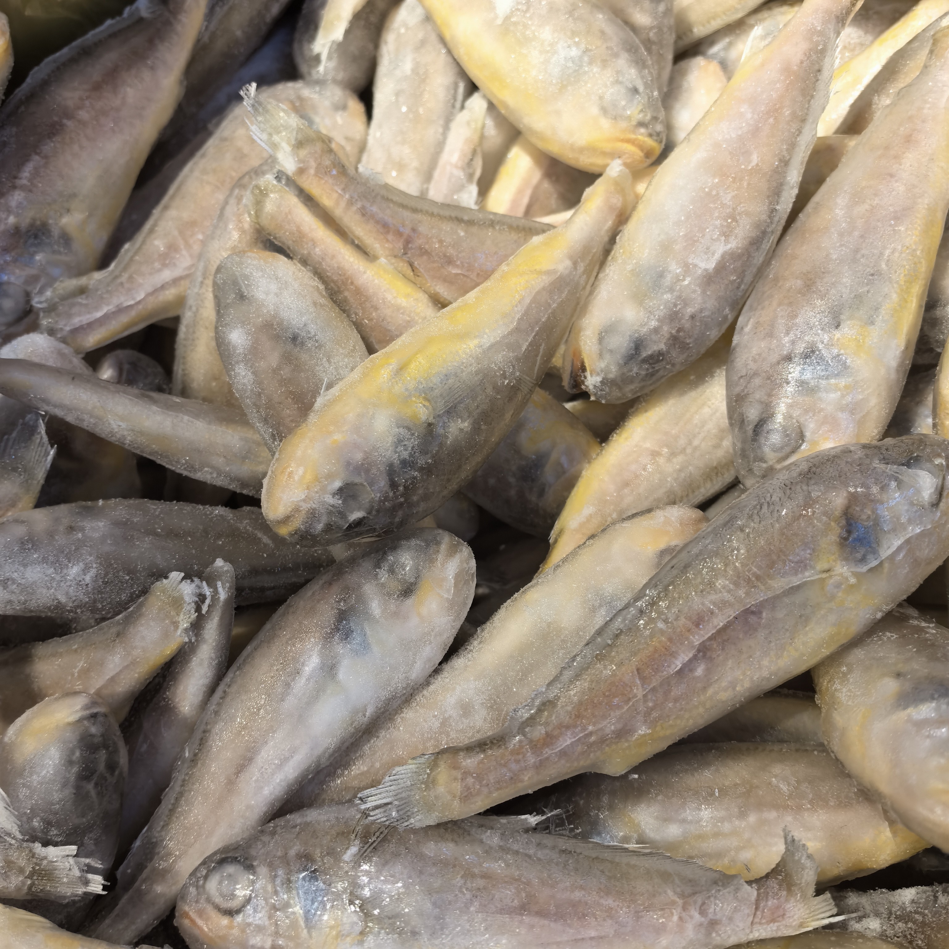 配送《小时达》黄花鱼克