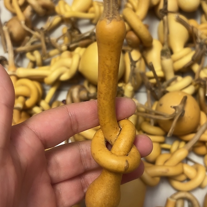 风***走一把葫芦一把葫芦便宜漏了