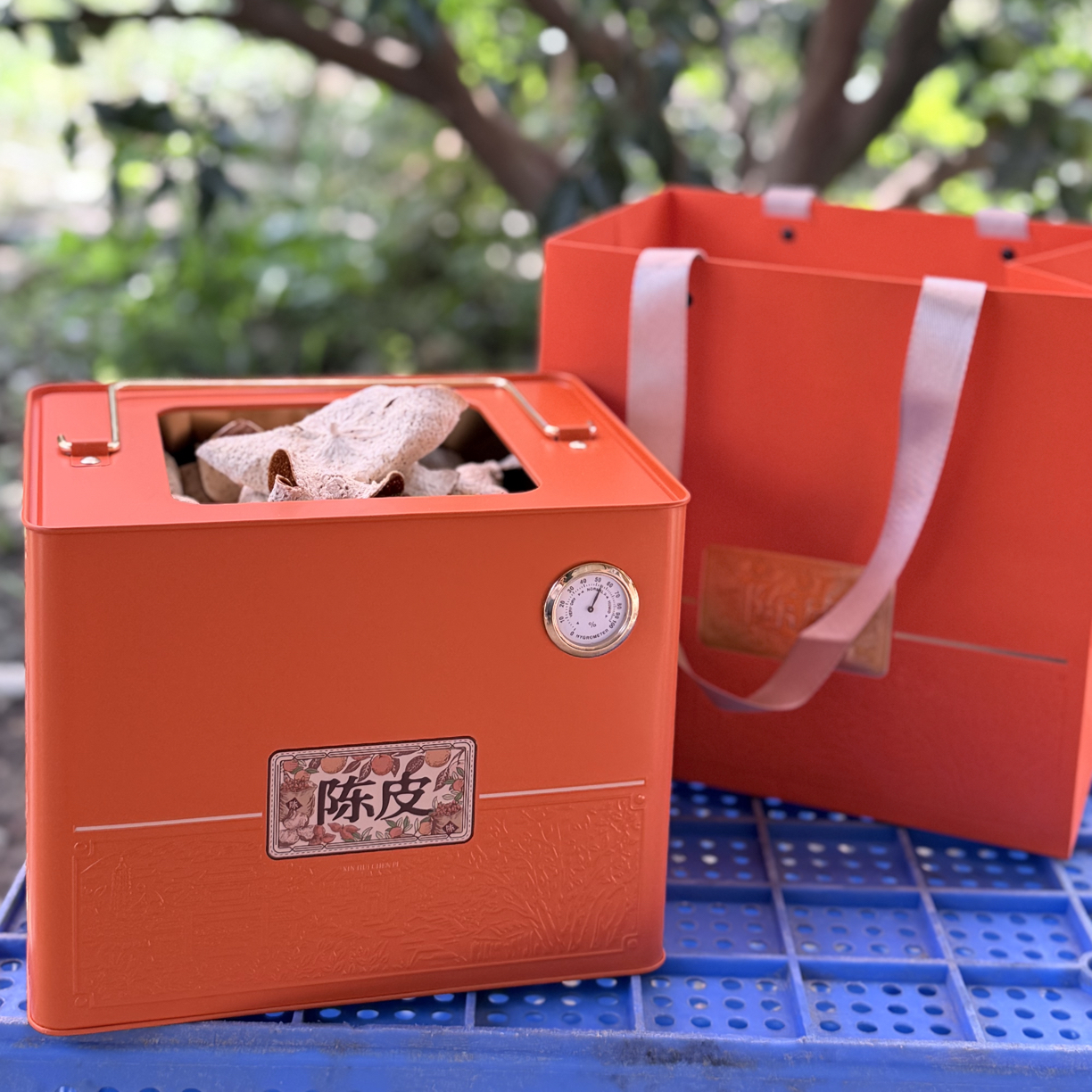 《东甲石墩围》老树原枝圈枝二红皮收藏送礼