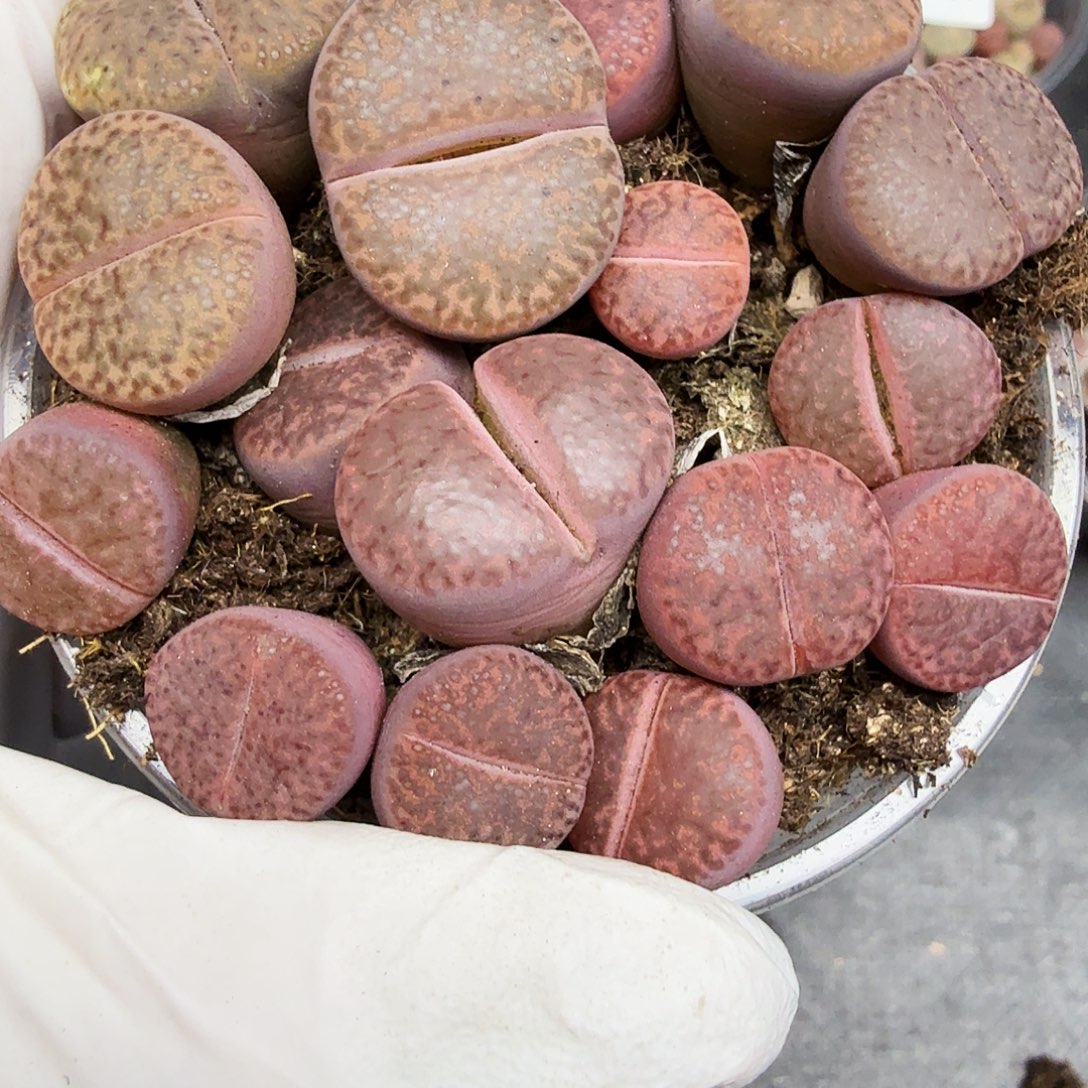 你说是谁在的呀怎么220是