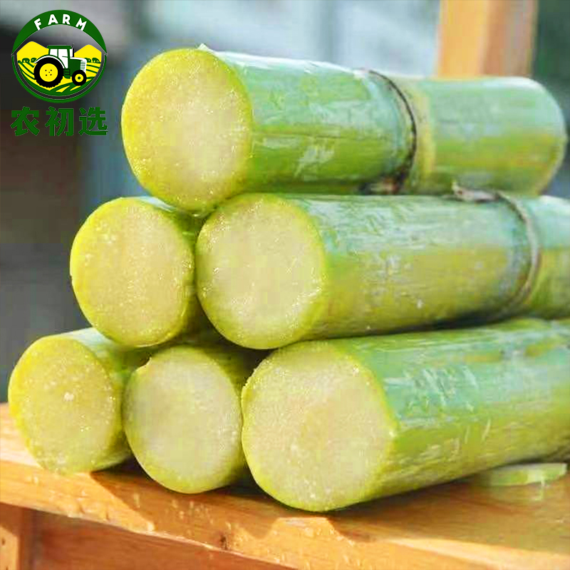 云南带皮甘蔗新鲜现砍清甜多汁应季水果产地直发