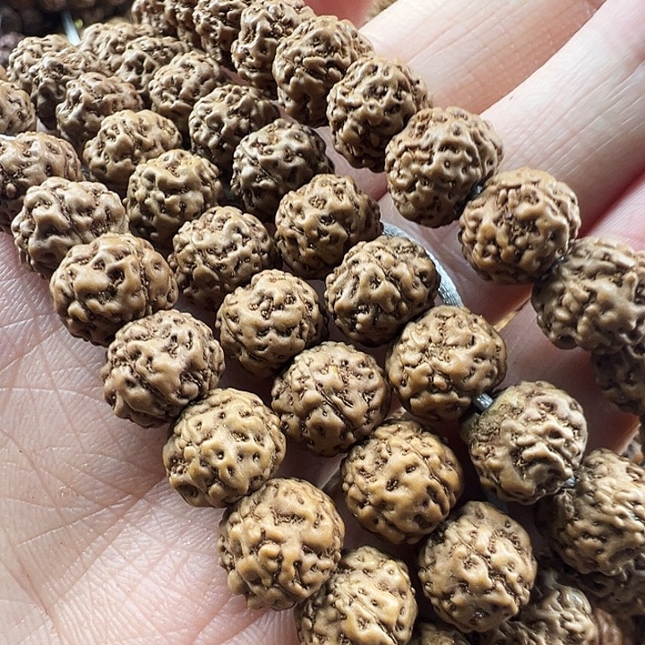 金刚菩提吊坠鬼面赤龙9m